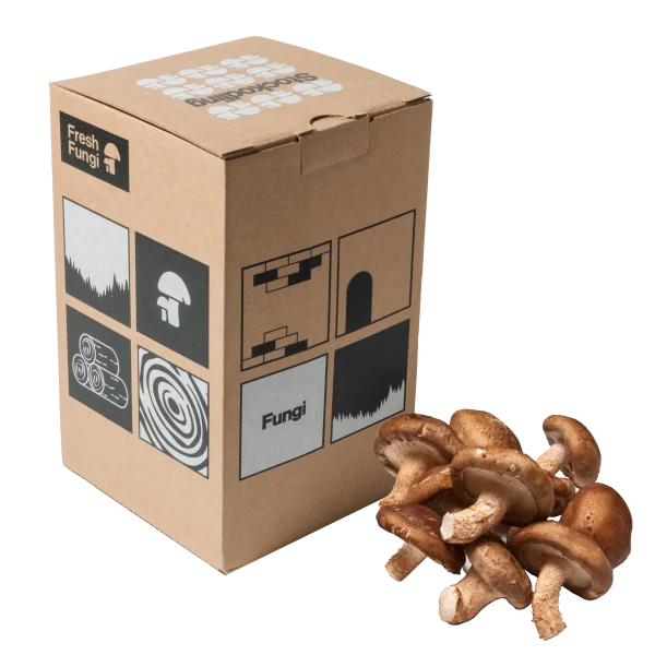Stockodling av Shiitake