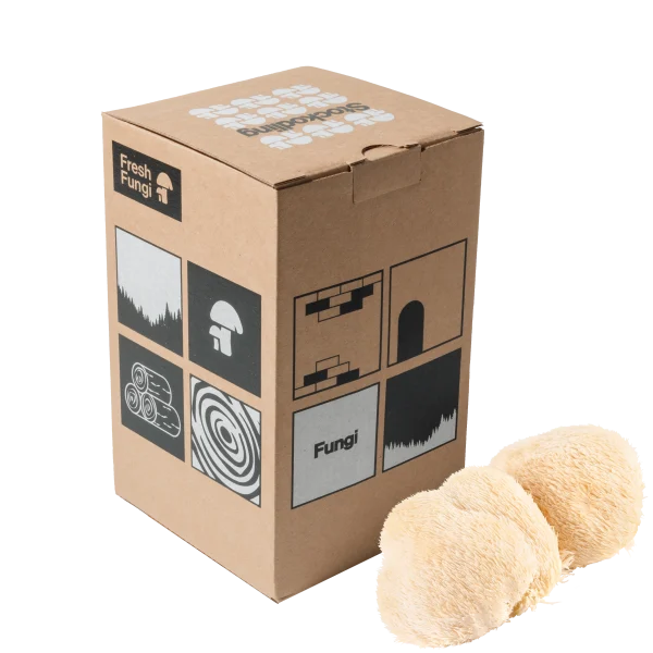 Stockodling av Lions Mane