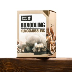 Boxodling av Kungsmussling