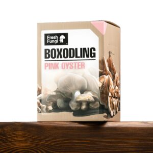 Boxodling av Pink Oyster